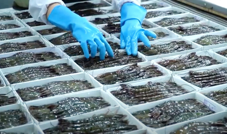 Doanh nghiep thuy san dinh F0 anh 1