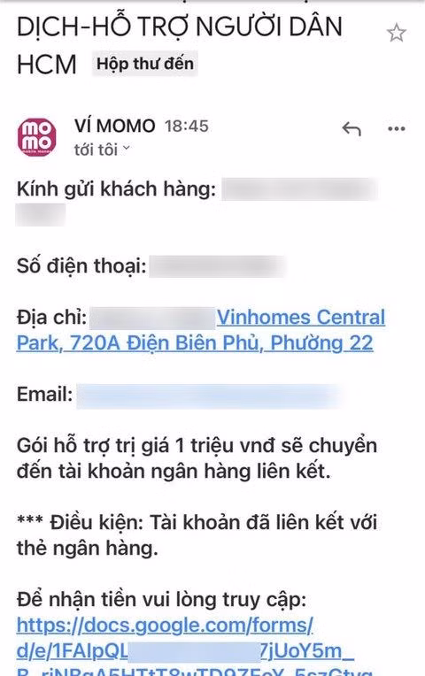 thong-tin-gia-mao-vi-dien-tu-momo-gui-den-cu-dan-vinhomes-central-park..jpg