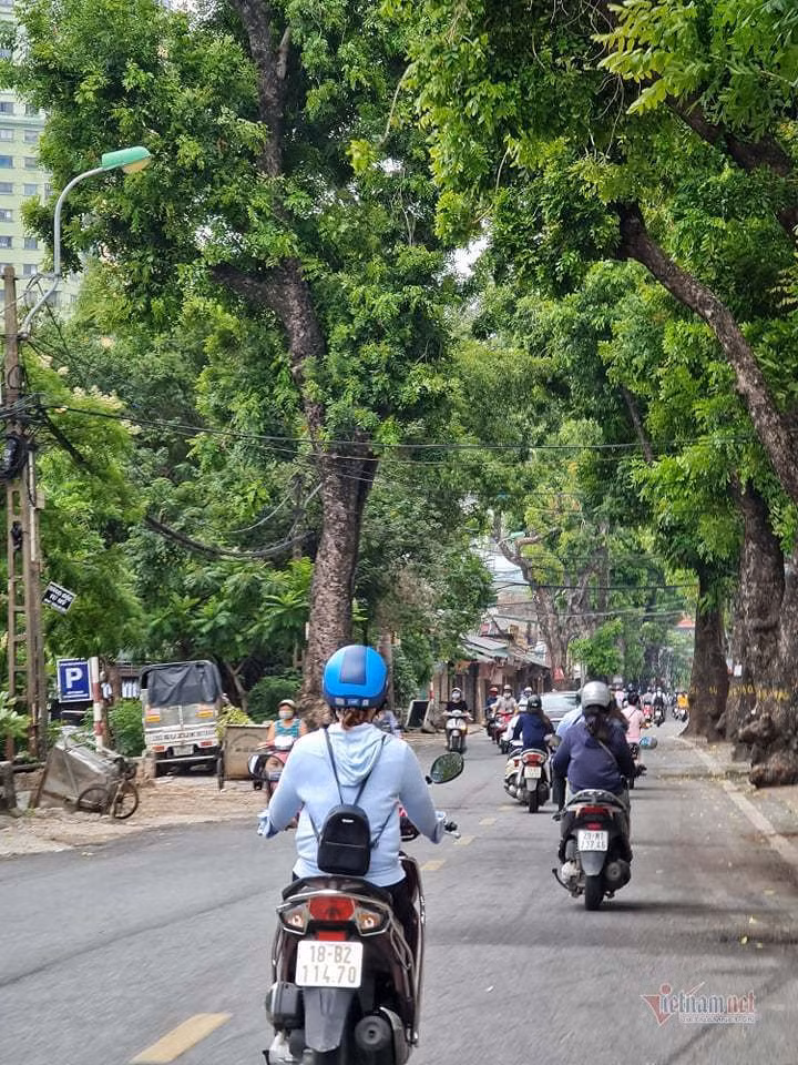 Hình ảnh đường phố Hà Nội ngày siết chặt 'ai ở đâu ở yên đó'