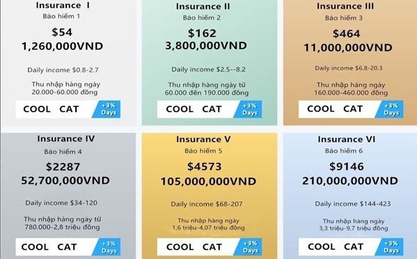 6 gói bảo hiểm Coolcat lôi kéo các nhà đầu tư. Ảnh: Nhân vật cung cấp.