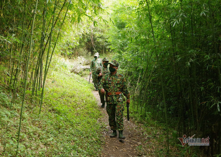 Lập hàng rào sống xuyên đêm bắt ma tuý, truy người nhập cảnh