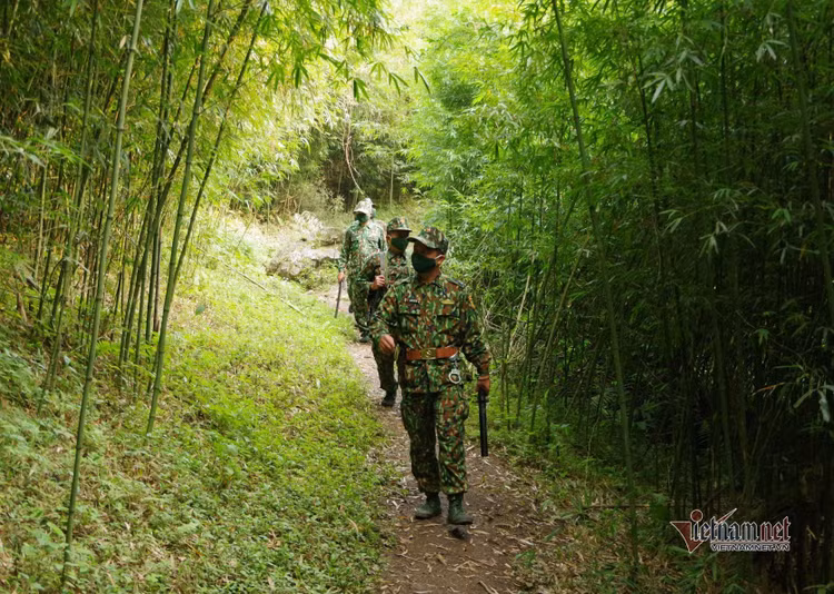 Lập hàng rào sống xuyên đêm bắt ma tuý, truy người nhập cảnh