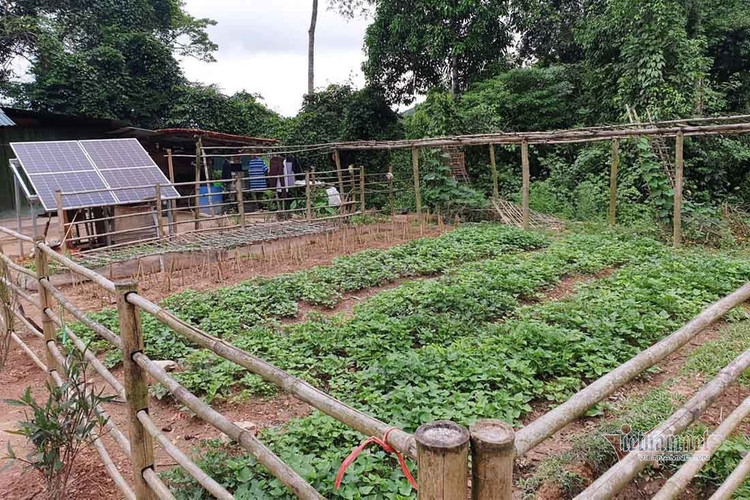 Lập hàng rào sống xuyên đêm bắt ma tuý, truy người nhập cảnh