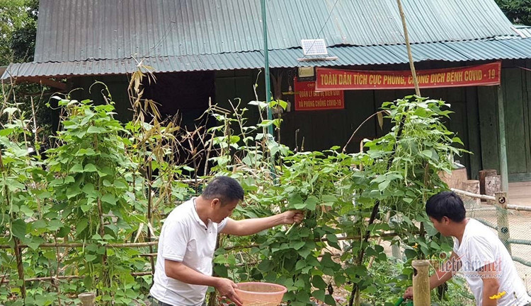 Lập hàng rào sống xuyên đêm bắt ma tuý, truy người nhập cảnh
