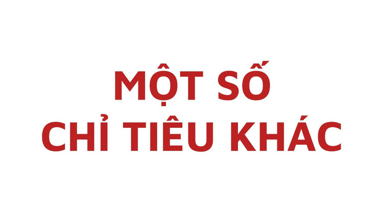 Dấu ấn tăng trưởng kinh tế Việt Nam 5 năm qua ảnh 39