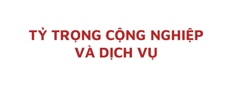 Dấu ấn tăng trưởng kinh tế Việt Nam 5 năm qua ảnh 16