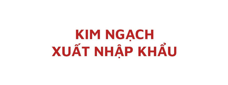 Dấu ấn tăng trưởng kinh tế Việt Nam 5 năm qua ảnh 24