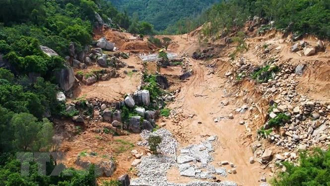 Ba Ria-Vung Tau: Khoi to vu an 'Huy hoai rung' tai khu vuc nui Thi Vai hinh anh 1