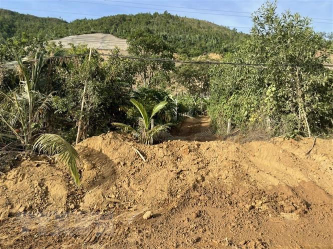 Da Nang: Dieu tra vu khai thac dat doc cao toc La Son-Tuy Loan hinh anh 1