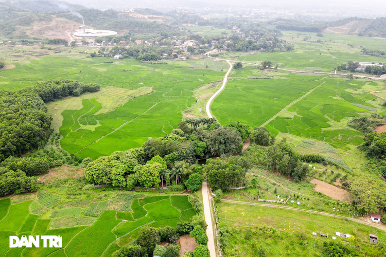 Tận mắt thấy cây ma làng tồn tại hơn 8 thế kỷ ở Hòa Bình - 1