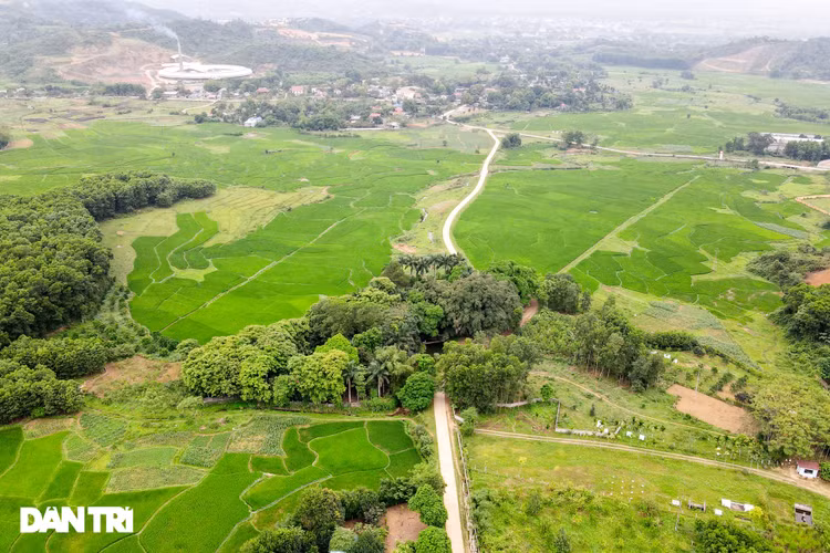 Tận mắt thấy cây ma làng tồn tại hơn 8 thế kỷ ở Hòa Bình - 1