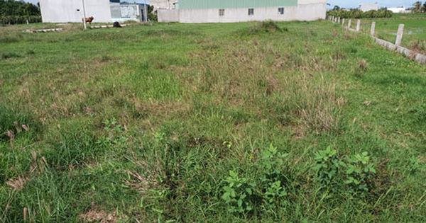 Kiểm tra đất đai tại 30 tỉnh, thành - Ảnh 1.