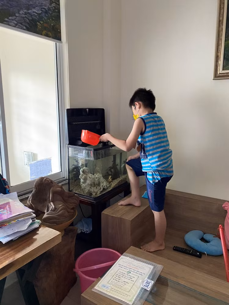 Cậu bé 7 tuổi vào viện chữa Covid-19 và trở về nhà một mình - 3