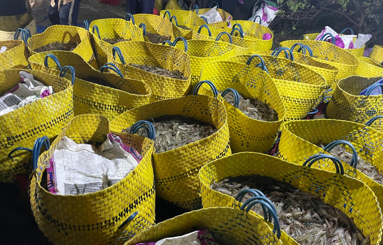 Tom the mien Tay tang gia anh 2