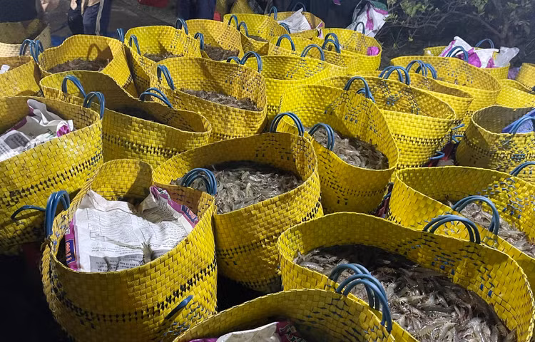 Tom the mien Tay tang gia anh 2