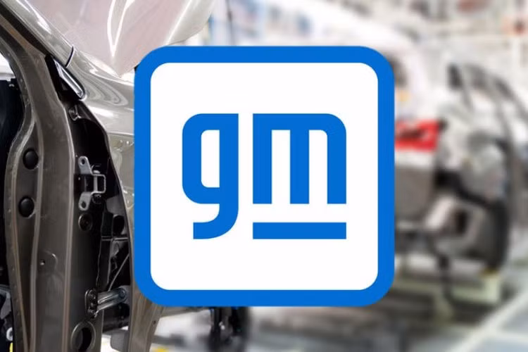 Cac hang oto su dung logo don gian hon anh 9