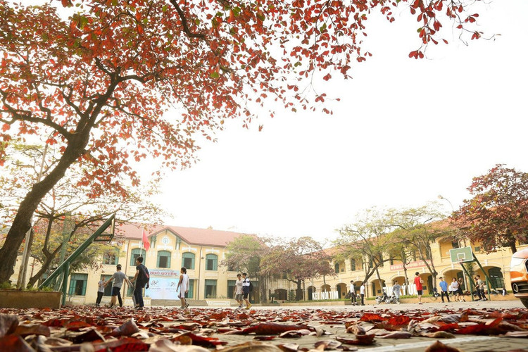 Lời kể của hiệu trưởng ngôi trường ở Hải Phòng từng dạy 2 tân Bộ trưởng - 1