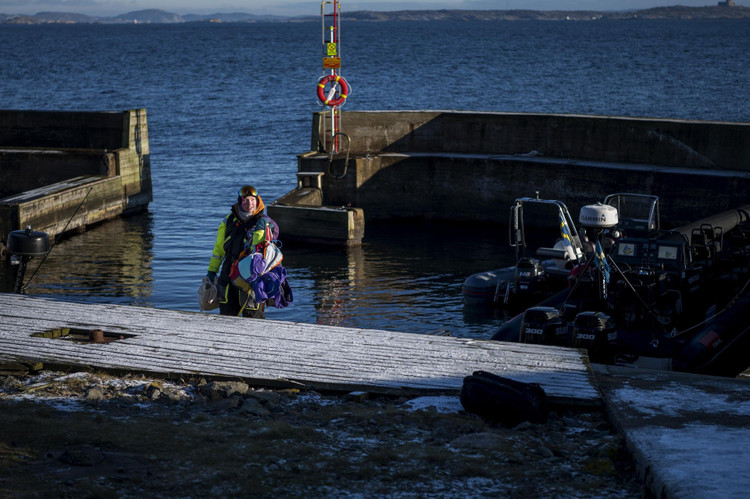 dich covid-19 anh 10