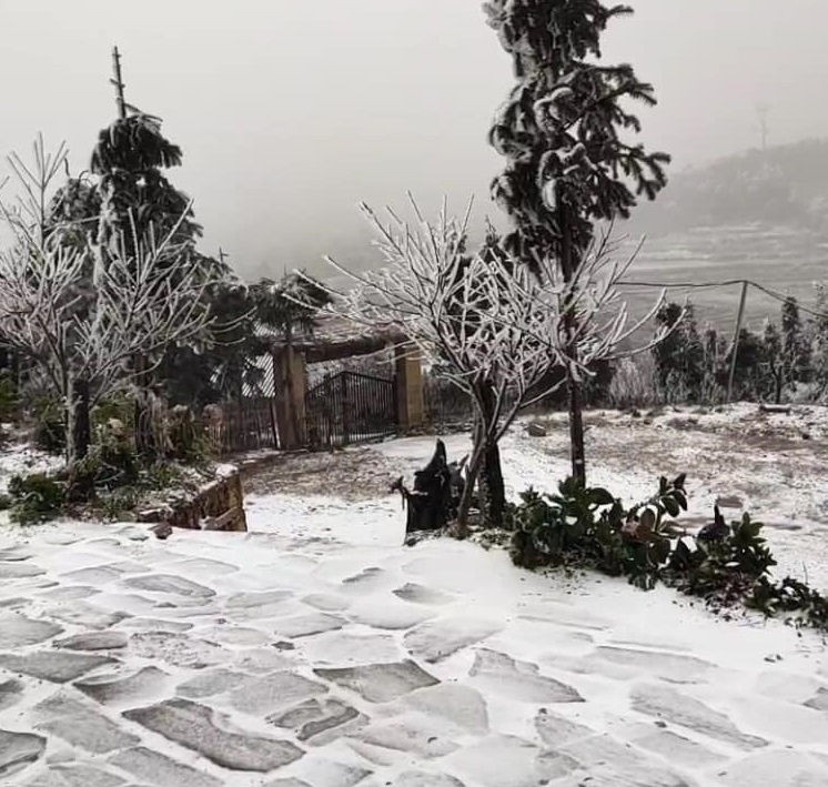 tuyet roi o Sa Pa va Y Ty anh 4