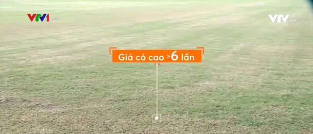 Nhiều sai phạm ở Khu liên hợp thể thao quốc gia Mỹ Đình: Giá cỏ gấp hơn 6 lần so với thực tế - Ảnh 1.