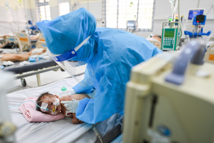 Pho thu tuong Vu Duc Dam anh 2