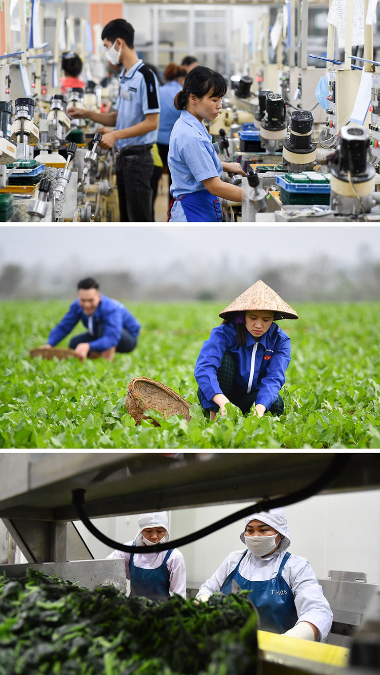 'Tổng thống Joe Biden sẽ coi Việt Nam là đối tác rất quan trọng' ảnh 9 'Tổng thống Joe Biden sẽ coi Việt Nam là đối tác rất quan trọng' ảnh 9