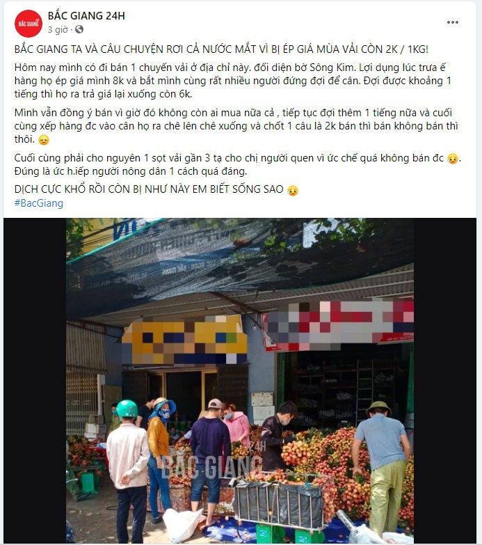 vai thieu Bac Giang bi ep gia anh 1