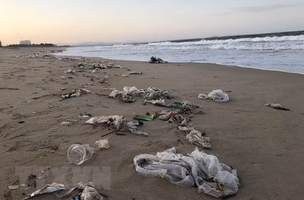 Bao ve moi truong bien: Tinh trang o nhiem o muc dang bao dong hinh anh 1