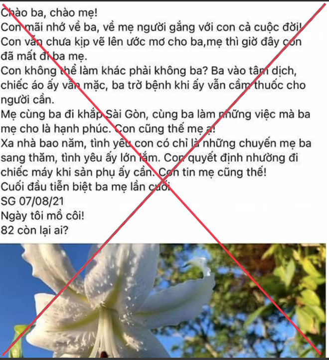 Xử phạt chủ tài khoản Facebook Ngân Hà Trần vụ bác sĩ Khoa rút ống thở - 1