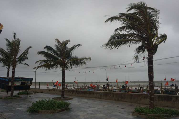 Thanh Hóa: Bão số 2 gây mưa to, gió lớn ở nhiều khu vực - 2