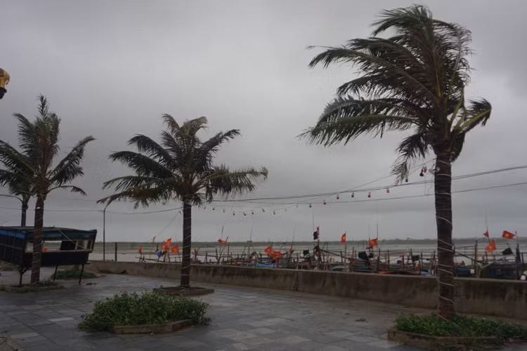 Thanh Hóa: Bão số 2 gây mưa to, gió lớn ở nhiều khu vực - 2