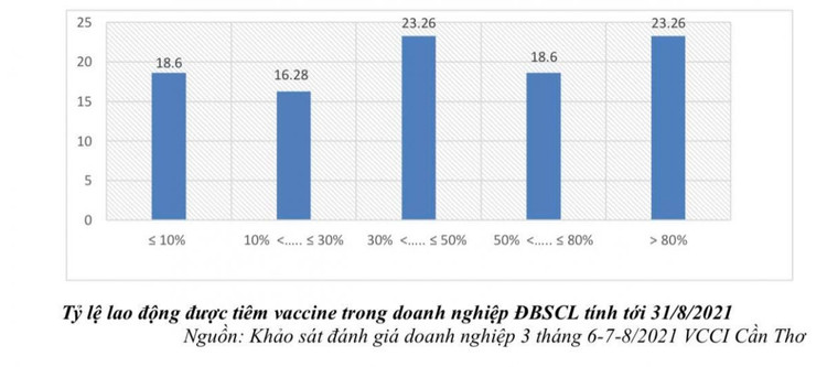 Tỷ lệ lao động tại các doanh nghiệp ở ĐBSCL được tiêm vaccine đều ở mức khá thấp ảnh 1