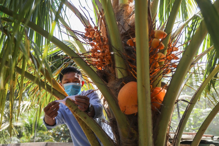 Người dân viếng nguyên Phó thủ tướng Trương Vĩnh Trọng ảnh 11