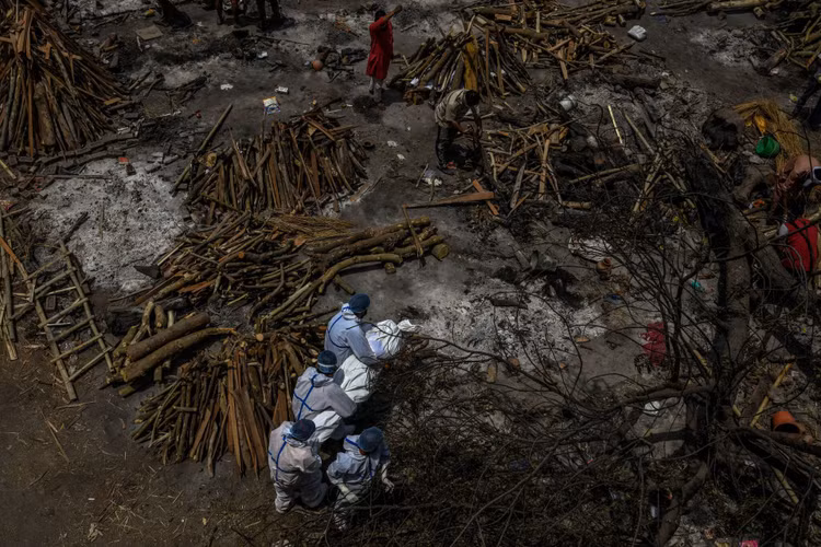 dai dich o an do anh 3