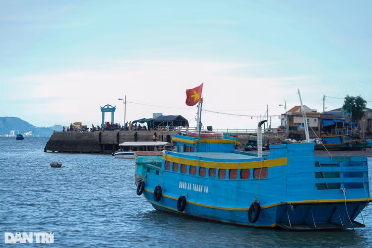 Trắng đêm bảo vệ vùng xanh trên biển tại xã đảo duy nhất ở TPHCM - 6