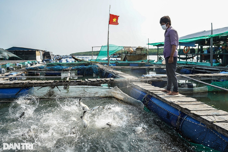 Trắng đêm bảo vệ vùng xanh trên biển tại xã đảo duy nhất ở TPHCM - 11