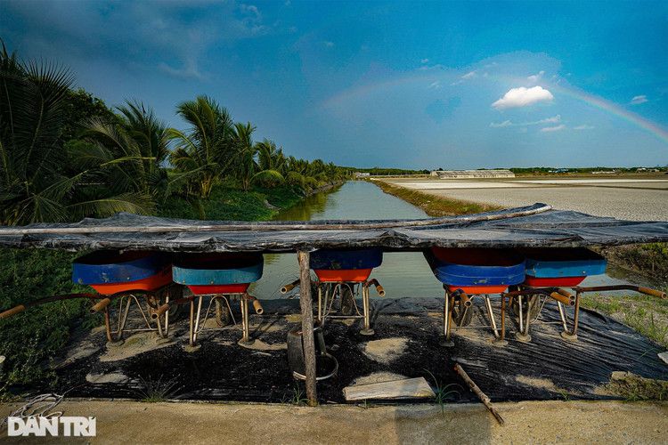 Trắng đêm bảo vệ vùng xanh trên biển tại xã đảo duy nhất ở TPHCM - 14