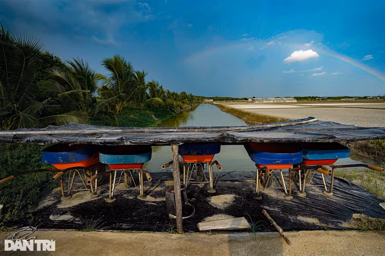 Trắng đêm bảo vệ vùng xanh trên biển tại xã đảo duy nhất ở TPHCM - 14