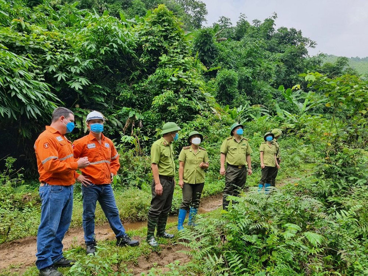 phoi-hop-voi-quy-bao-ve-va-phat-trien-rung-thai-nguyen-di-tham-quan-thuc-te-tai-dien-tich-rung-trong-thay-the-tai-huyen-dinh-hoa-tinh-thai-nguyen.jpg