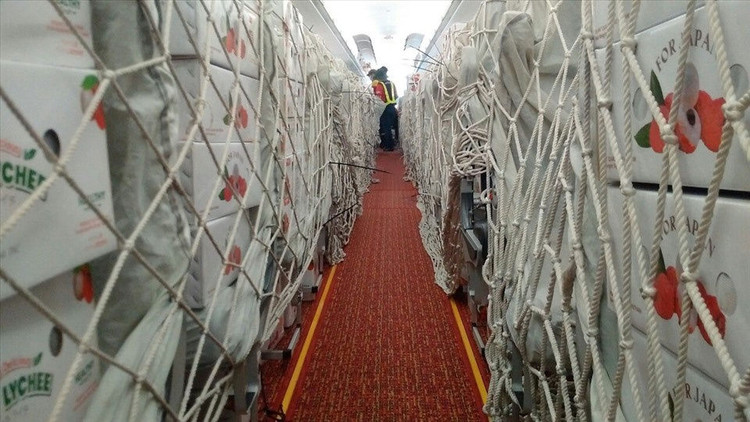 co nen dau tu co phieu hang khong anh 3