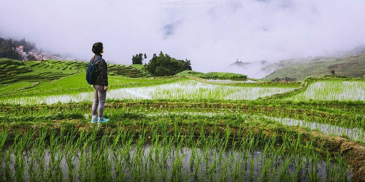 Bỏ phố về quê: Người trẻ hoang mang giữa những khác biệt