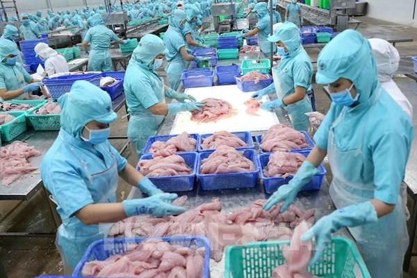 Mở rộng dòng chảy quan hệ thương mại Việt Nam-Lào ảnh 1