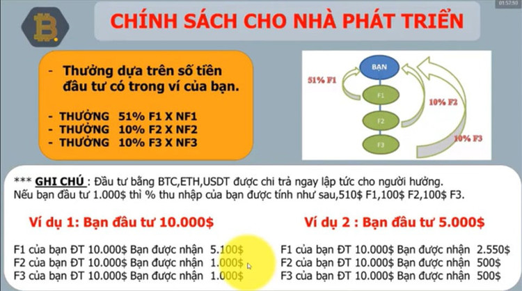 Mô hình trả thưởng lấy của người sau, trả cho người trước của Bitcoin Defi. Ảnh: Chụp màn hình.