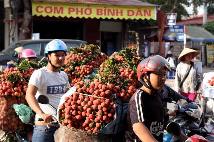 Bac Giang tieu thu vai thieu vung dich anh 2