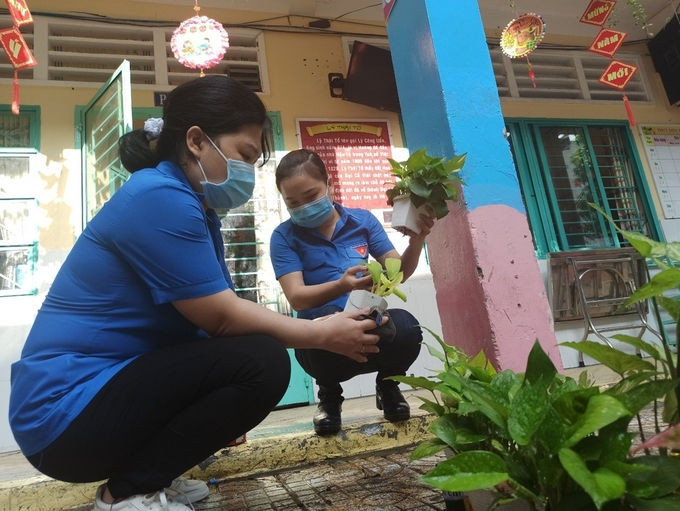 Giáo viên trường Tiểu học Trần Quang Khải, quận Gò Vấp, vệ sinh sân trường, chăm sóc cây cảnh. Ảnh: Lê Nam