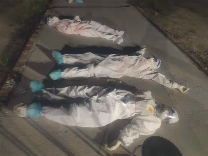 sinh vien chong dich anh 4