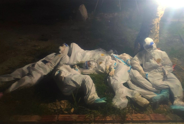 sinh vien chong dich anh 3