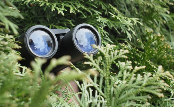 istock-binoculars.jpg