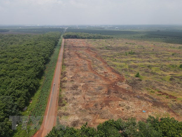 Du an san bay Long Thanh: Chua the chi tra tien boi thuong vi COVID-19 hinh anh 1