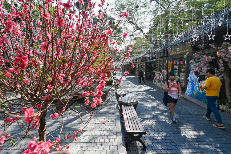 Pho phuong Ha Noi anh 10